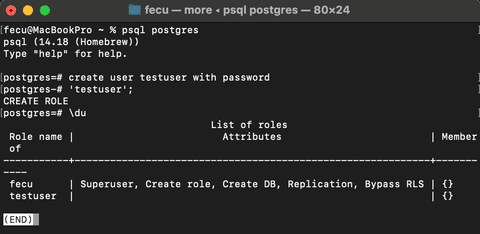 Adding a PostgreSQL Backend to Next.js