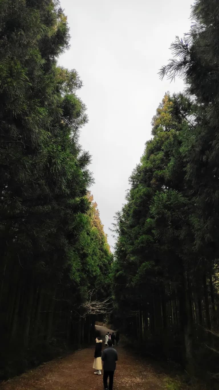 済州島の東側でおすすめのオルム-22